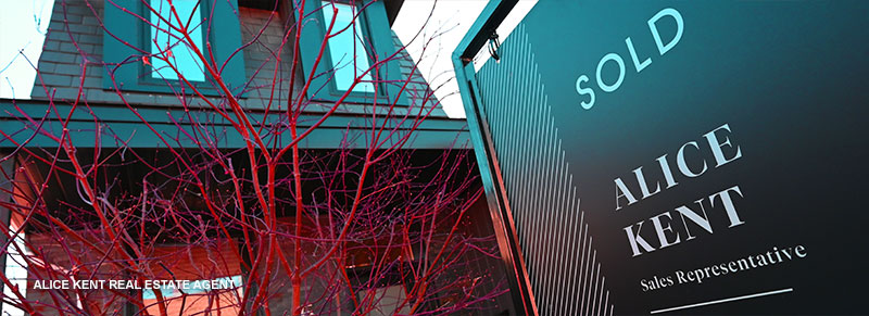 Doll Factory by Damzel's